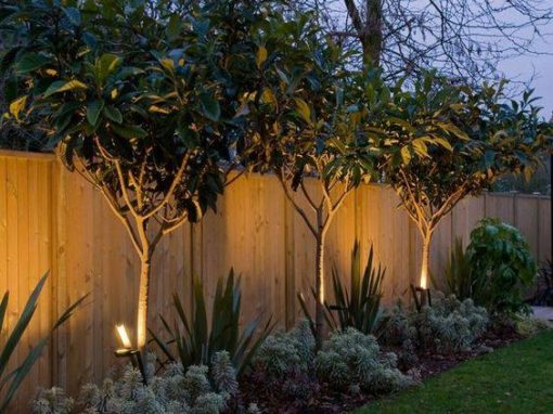 American Lawnscape Lighting Division