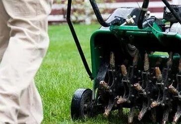 Why it’s Important For Turf Health To Aerate Your Lawn