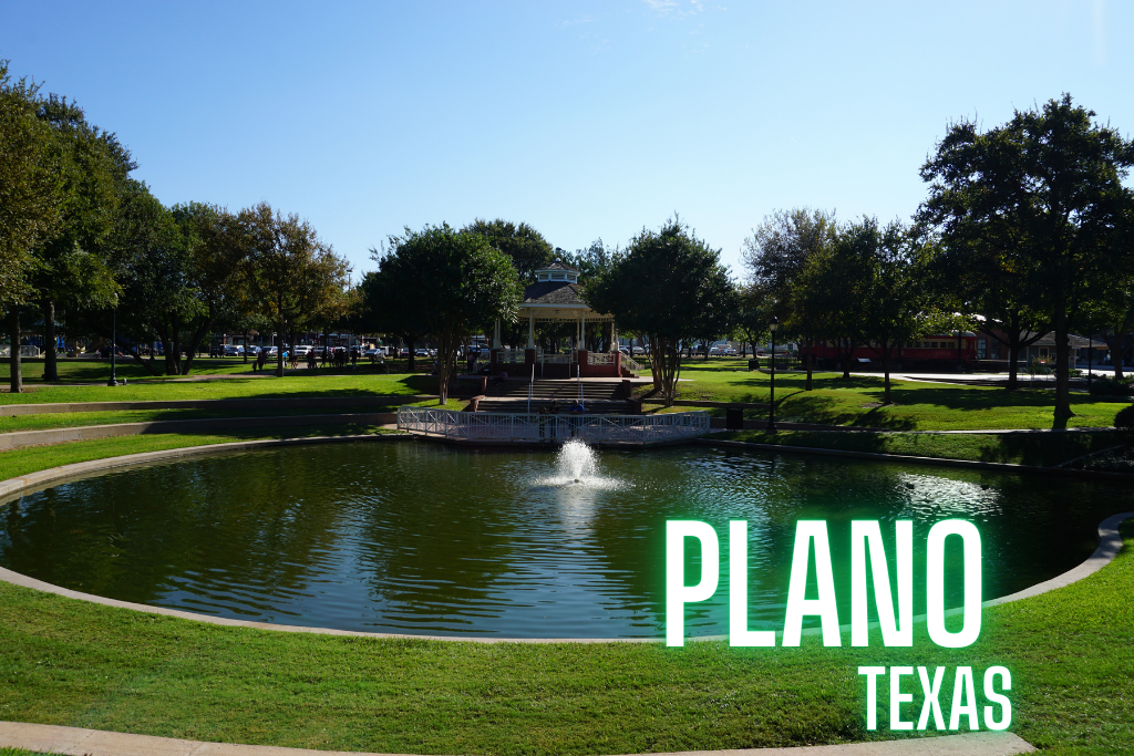 Plano Tx - American Lawnscape Lawn Service Maintenance - Lawn Treatment