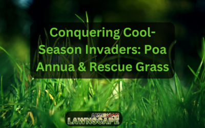 Conquering Cool-Season Invaders: Poa Annua & Rescue Grass