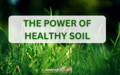 The Power of Healthy Soil