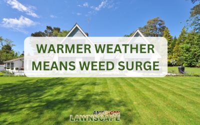Warmer Weather Means Weed Surge