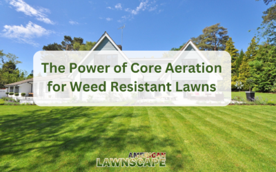 The Power of Core Aeration for Weed Resistant Lawns