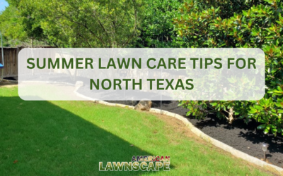 Summer Lawn Care Tips for North Texas