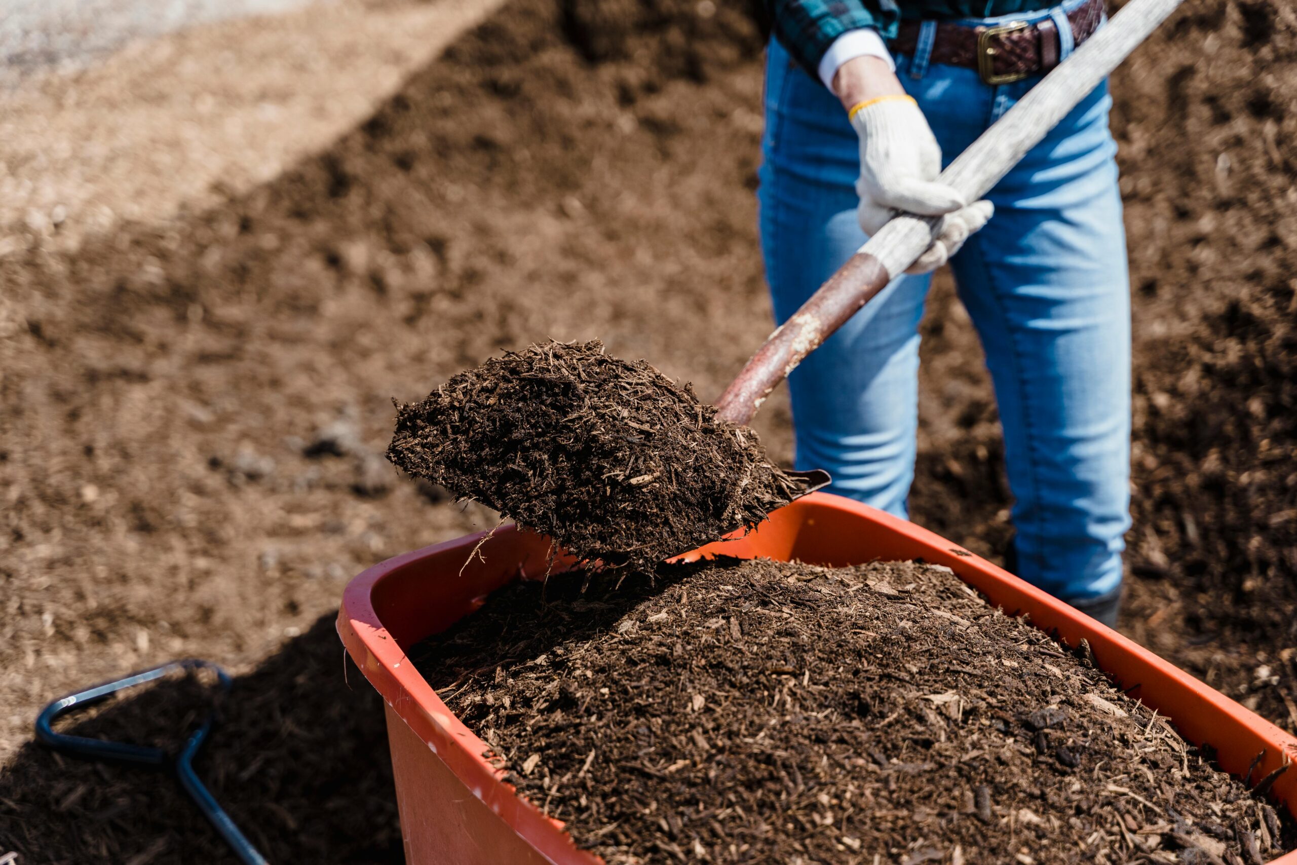 Fertilizer- American Lawnscape Lawn Service