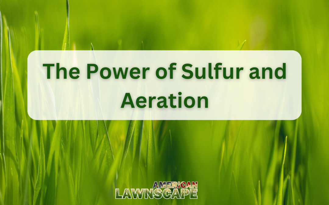 The Power of Sulfur and Aeration