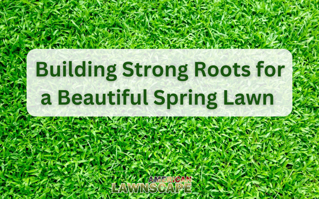 Building Strong Roots for a Beautiful Spring Lawn 