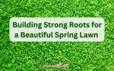 Building Strong Roots for a Beautiful Spring Lawn 