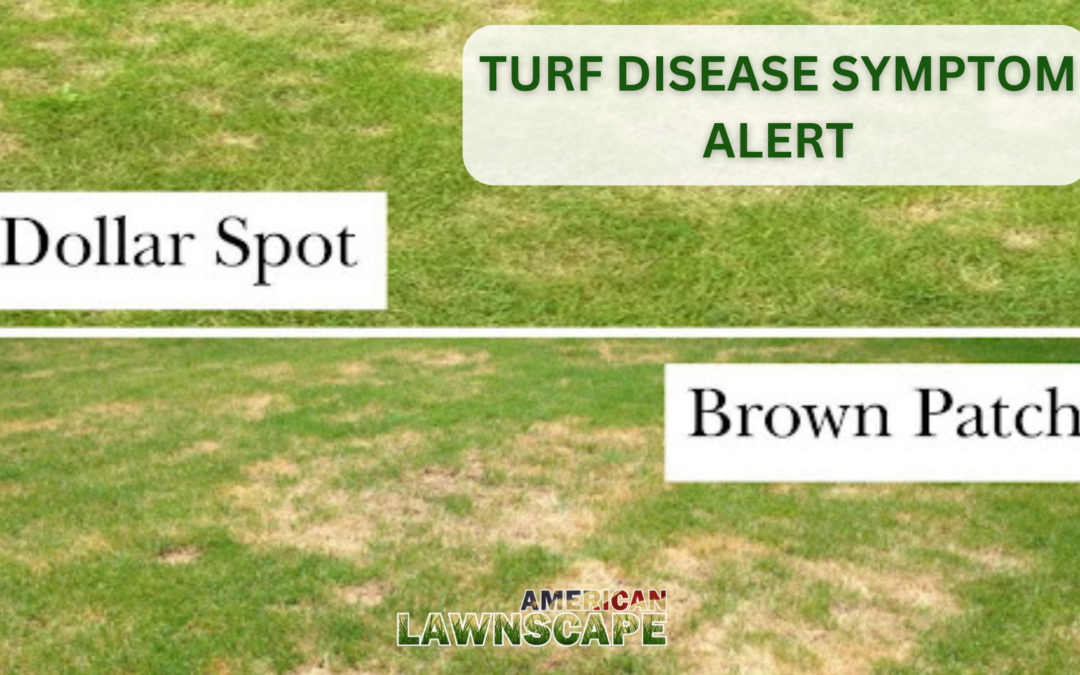 Turf Disease Symptom Alert