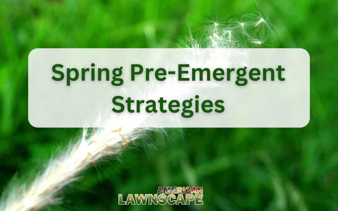 Spring Pre-Emergent Strategies