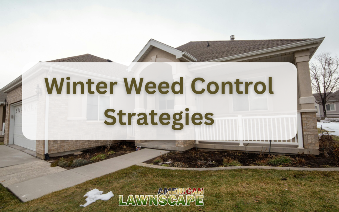 Winter Weed Control Strategies