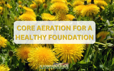 Core Aeration for a Healthy Foundation