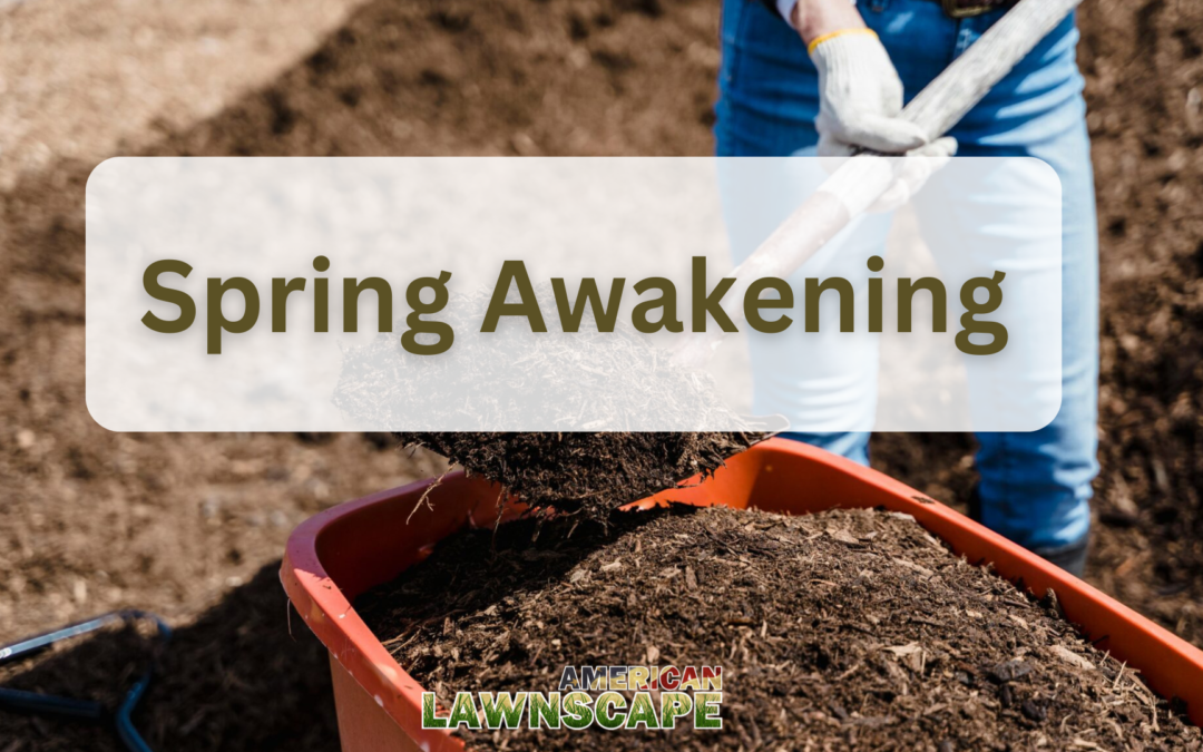 Spring Awakening