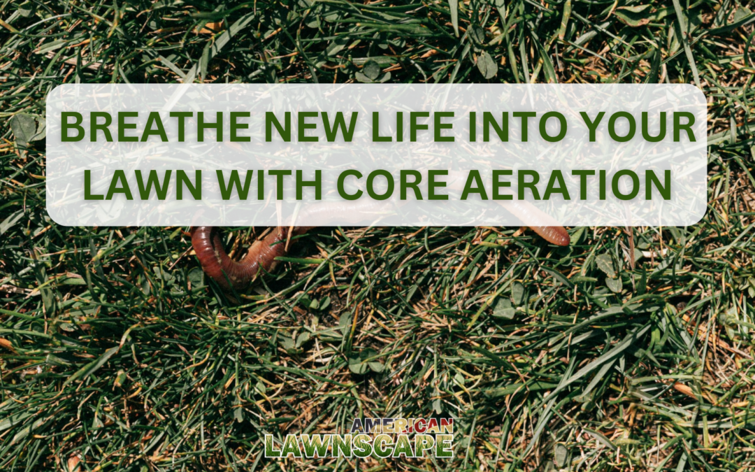 Breathe New Life into Your Lawn with Core Aeration