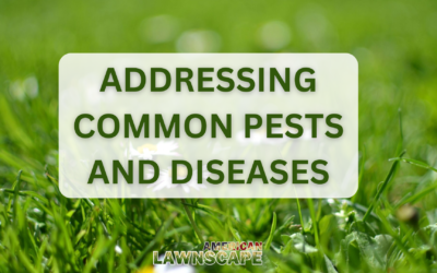 Addressing Common Pests and Diseases