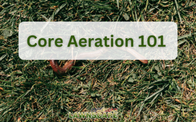 Core Aeration 101