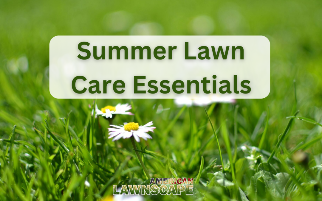 Summer Lawn Care Essentials