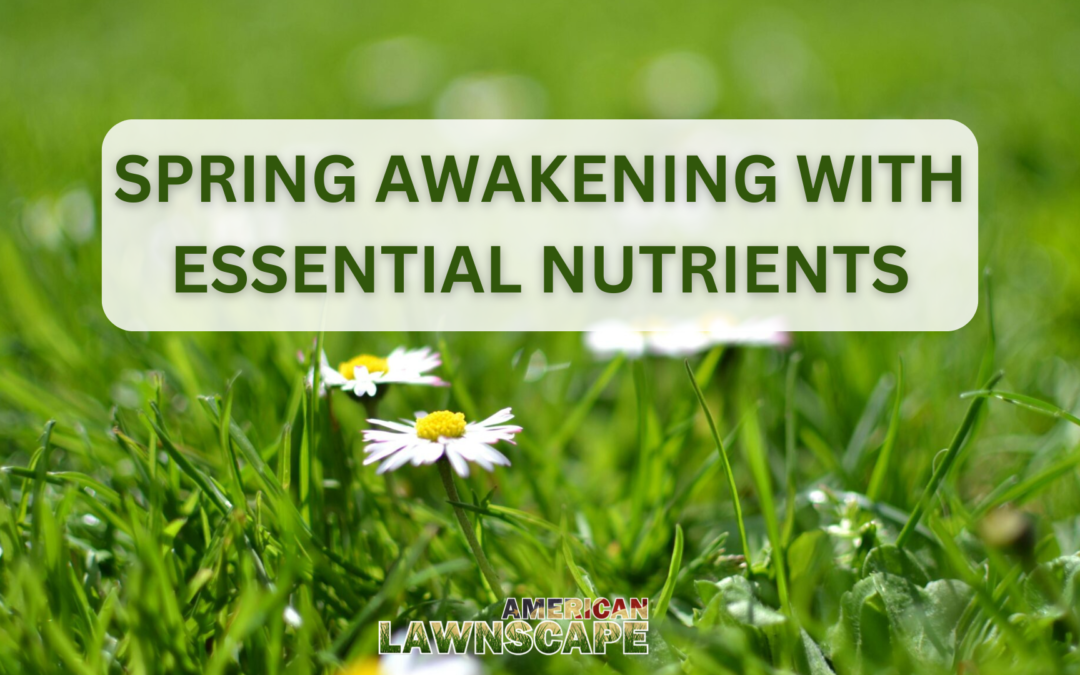 Spring Awakening with Essential Nutrients