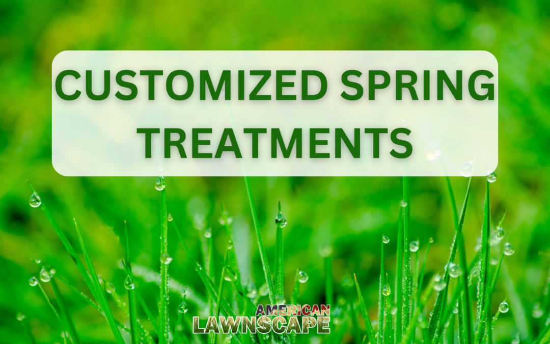 Customized Spring Treatments