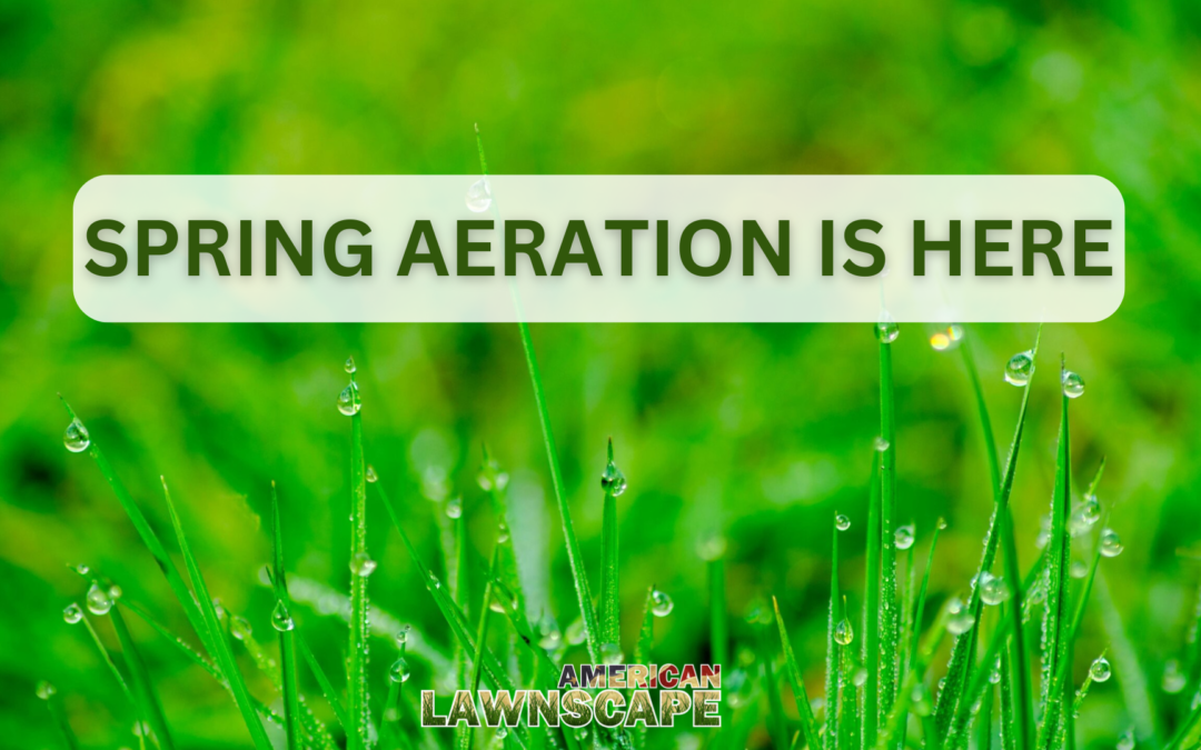 Spring Aeration is Here