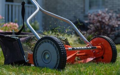 The Surprising Benefits of Weekly Lawn Mowing in North Texas