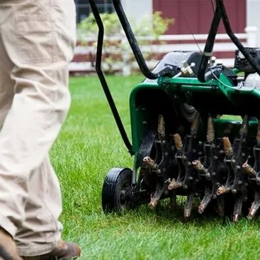Why Core Aeration Is the Most Important Thing You Can Do for Your Lawn in North Texas
