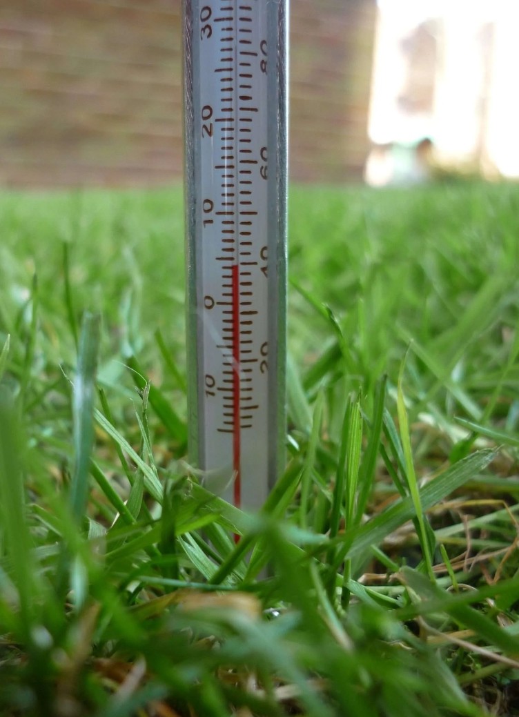 Spring Is Already Here — Even If the Calendar Disagrees